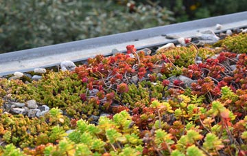 the cost of Kinrossie green roof installation