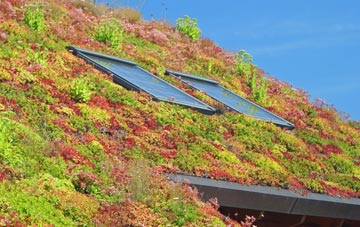 Kinrossie living roof systems